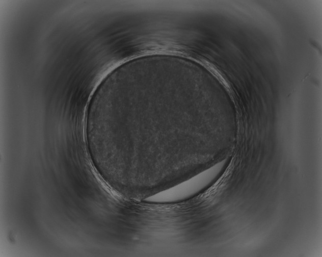 X0000097471246200803201441