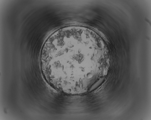 X0000097471247200803201441