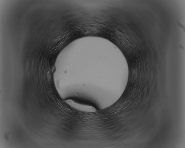 X0000097471250200803201440