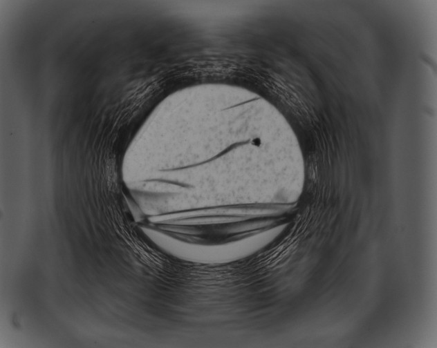 X0000097471252200803201440