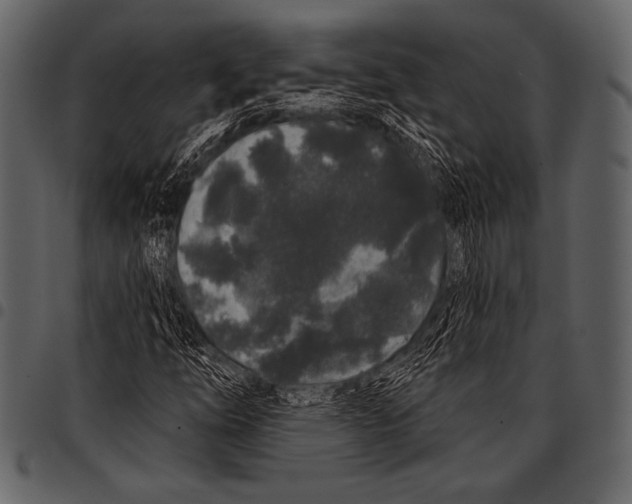 X0000097471254200803201440