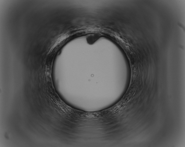 X0000097471255200803201440