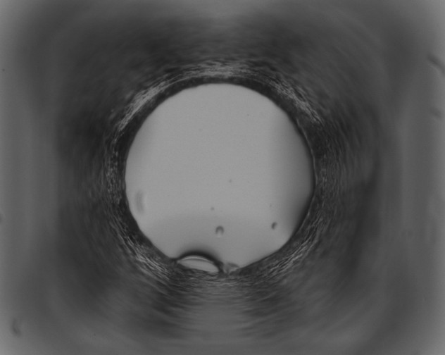 X0000097471256200803201440