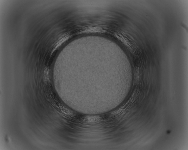 X0000097471258200803201440