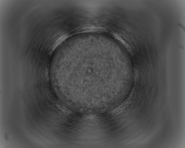 X0000097471259200803201440