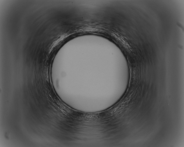 X0000097471262200803201440