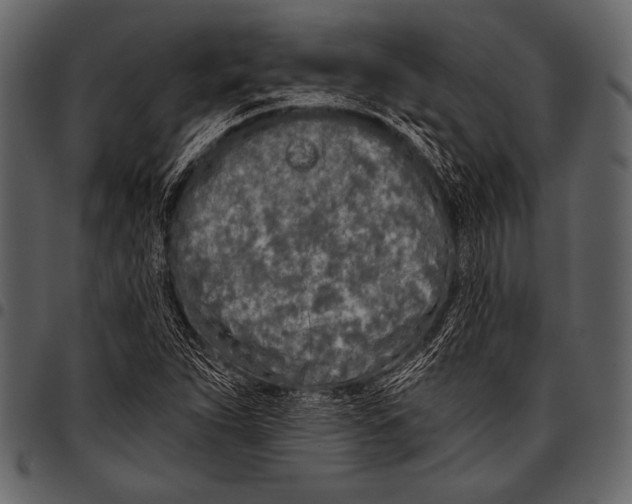 X0000097471263200803201440