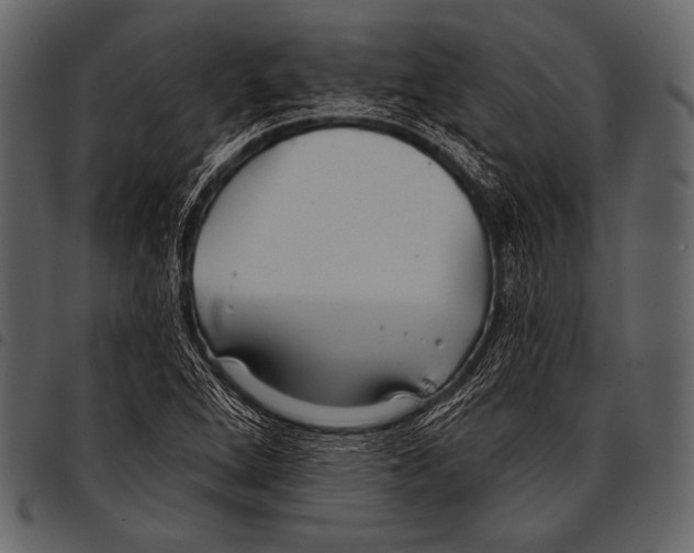 X0000097471264200803201440