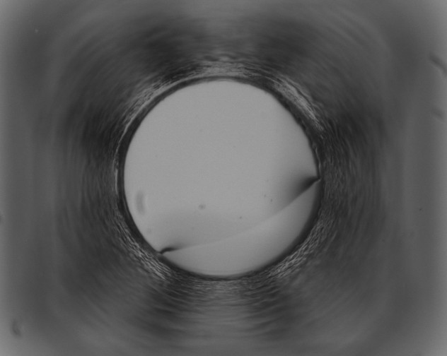 X0000097471268200803201440