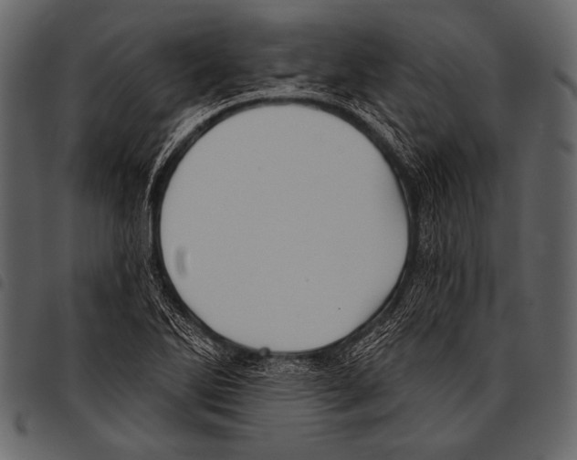 X0000097471270200803201440