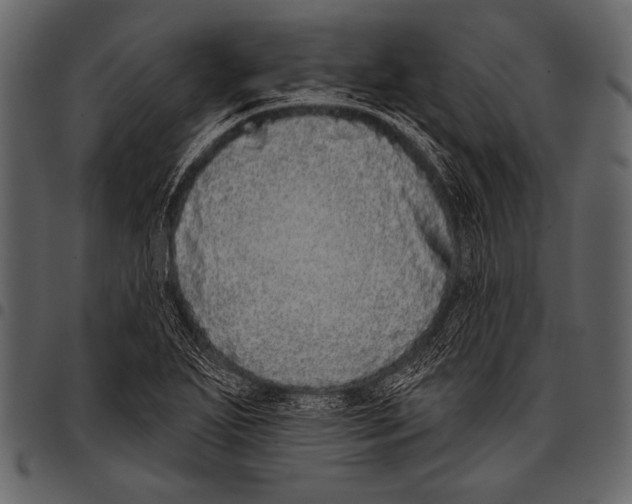 X0000097471271200803201440