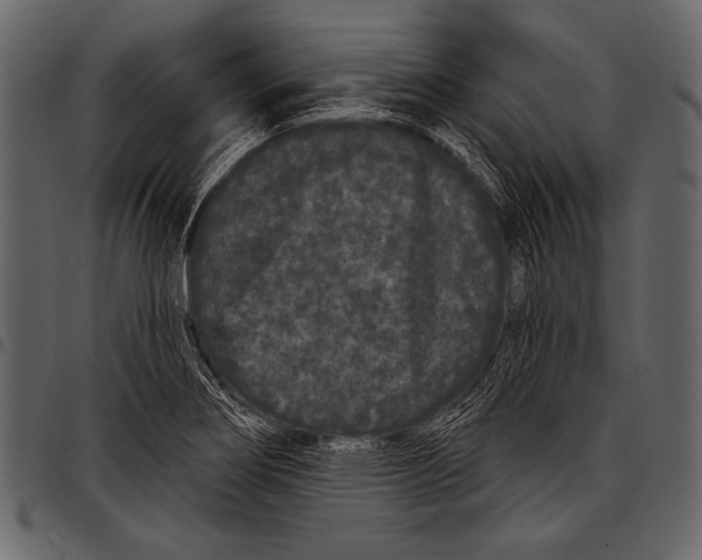 X0000097471274200803201440