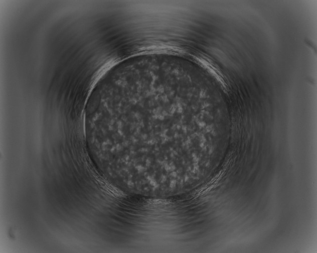 X0000097471275200803201440