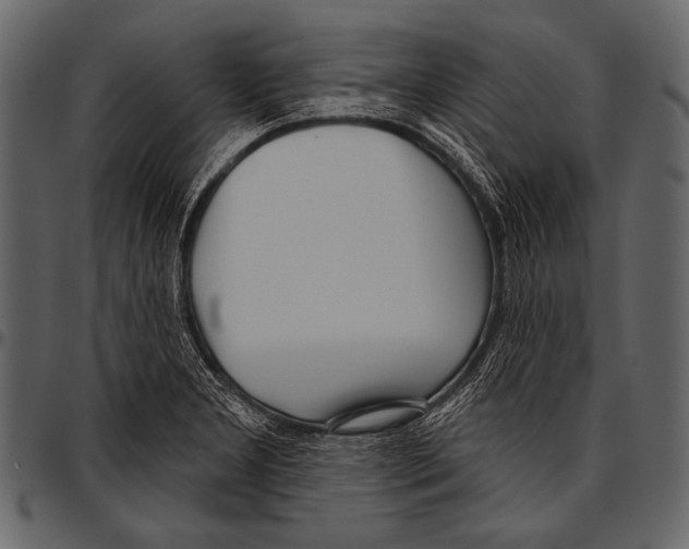 X0000097471277200803201440