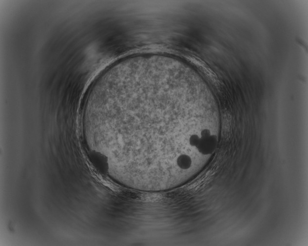 X0000097471278200803201440