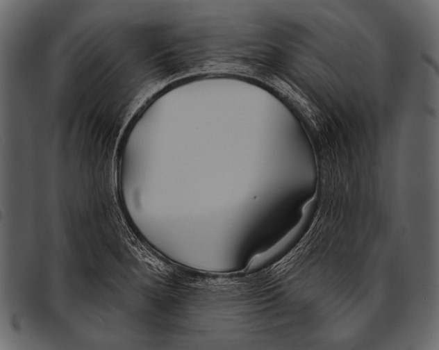 X0000097471280200803201440