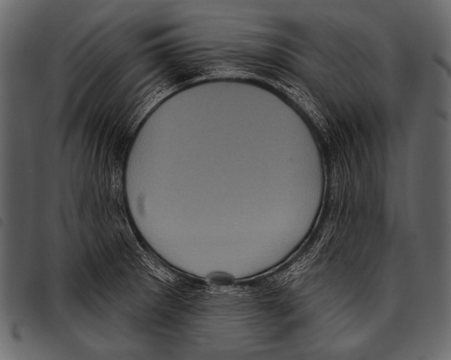 X0000097471281200803201440