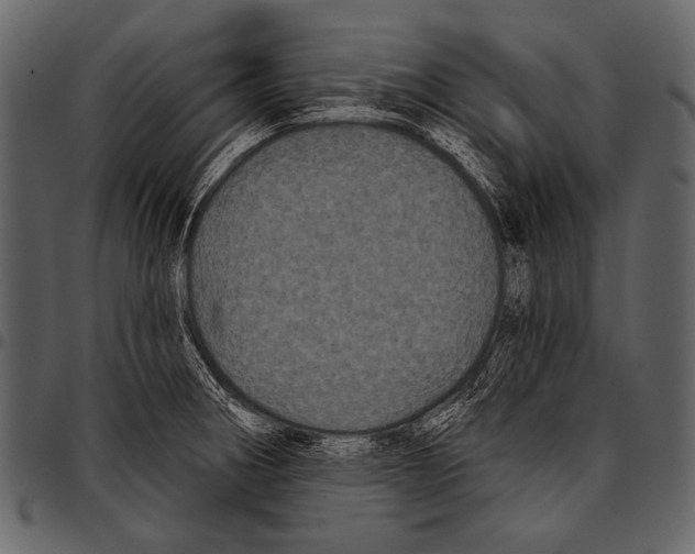 X0000097471282200803201440