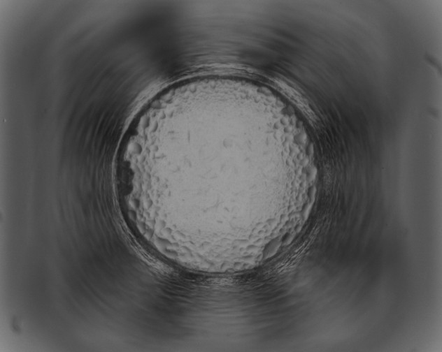 X0000097471283200803201440