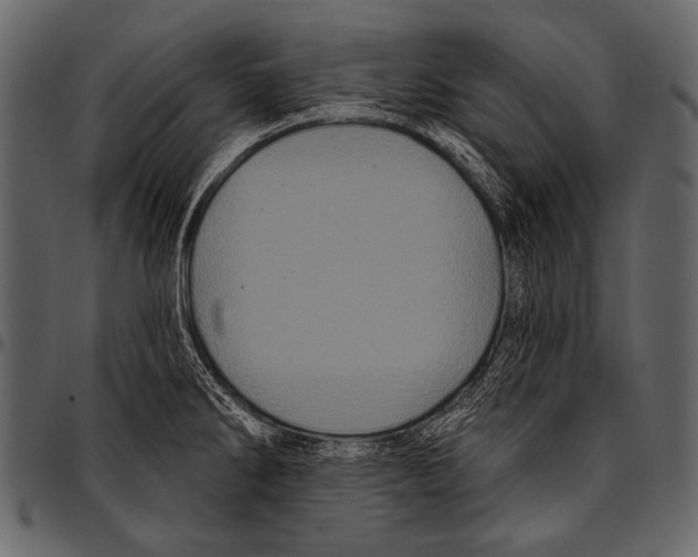 X0000097471286200803201440