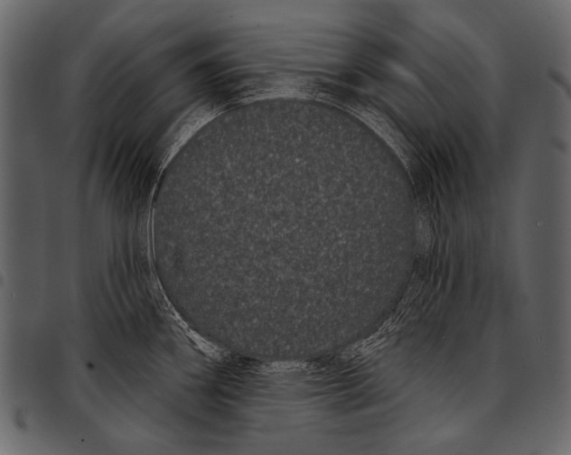 X0000097471290200803201440