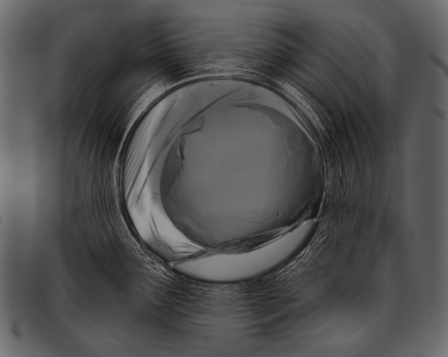 X0000097471291200803201440