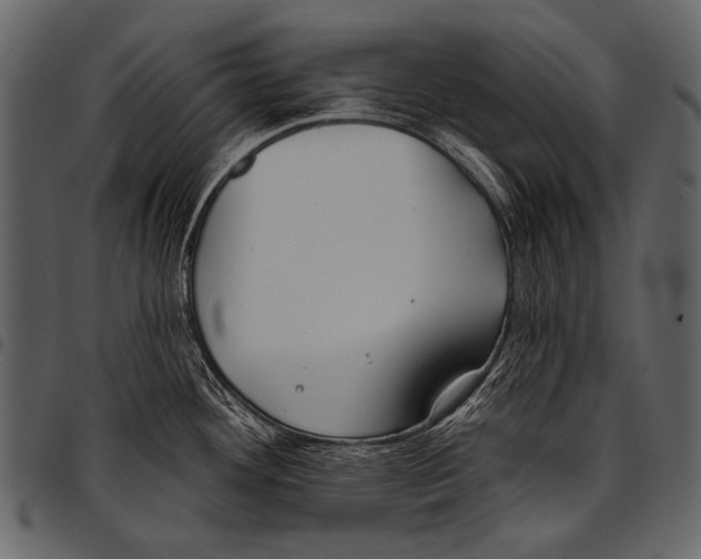 X0000097471292200803201440