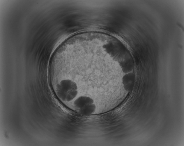 X0000097471294200803201440