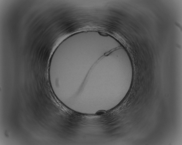 X0000097471296200803201440