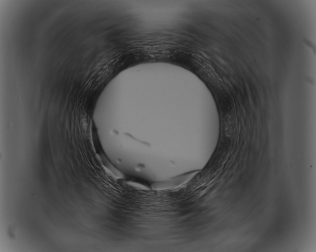 X0000097471298200803201439