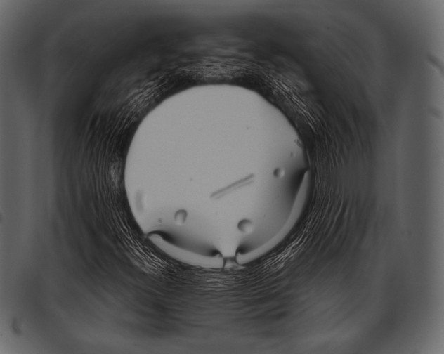 X0000097471300200803201439