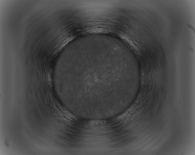 X0000097471305200803201439