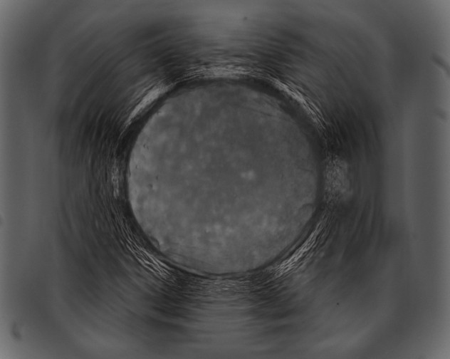 X0000097471306200803201439