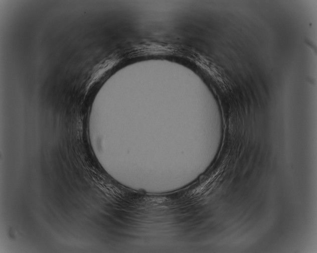 X0000097471309200803201439