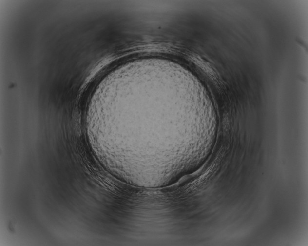 X0000097471310200803201439