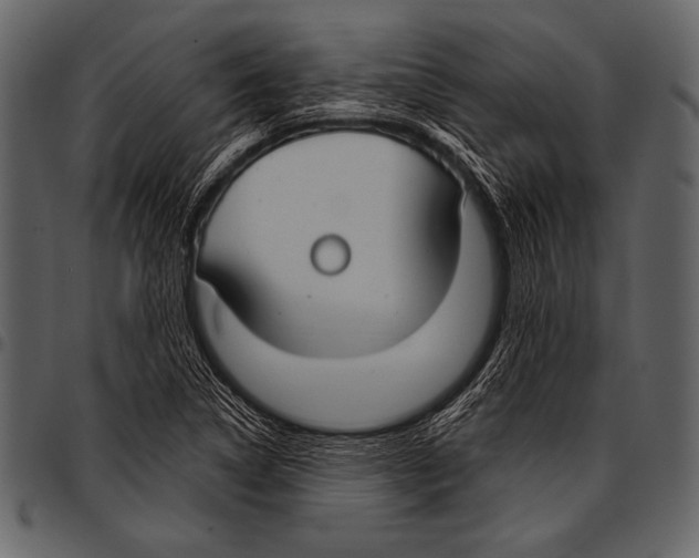 X0000097471314200803201439