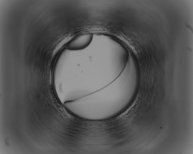 X0000097471317200803201439