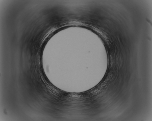 X0000097471318200803201439