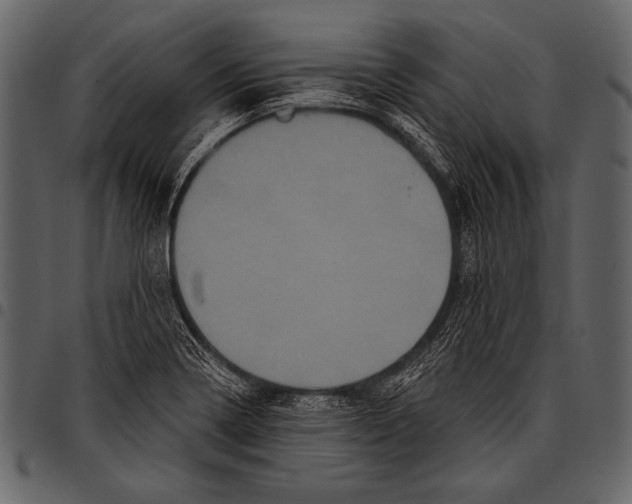 X0000097471322200803201439