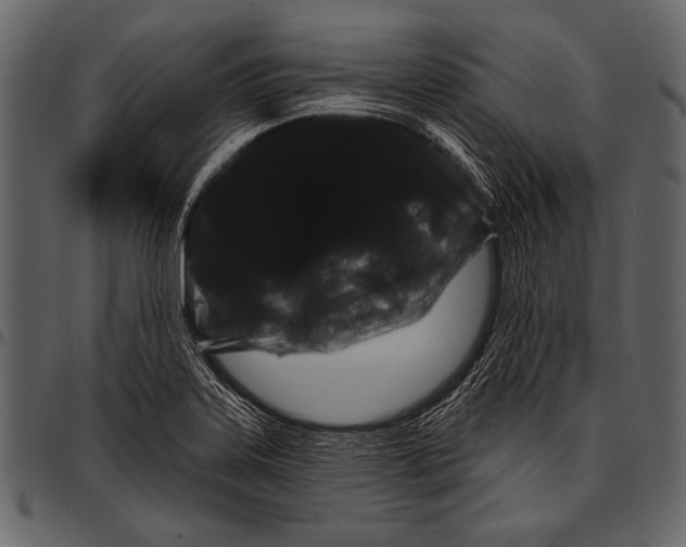 X0000097471323200803201439