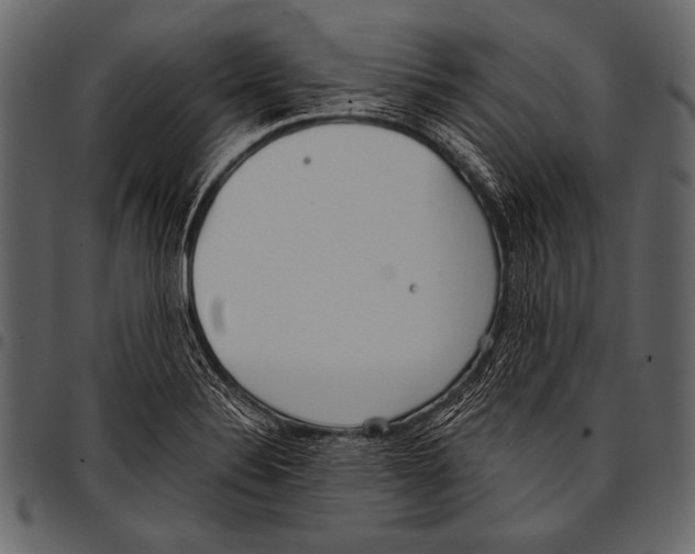 X0000097471324200803201439