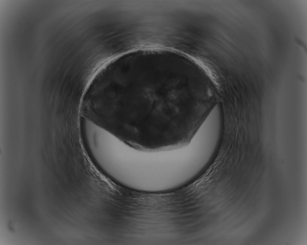 X0000097471327200803201439