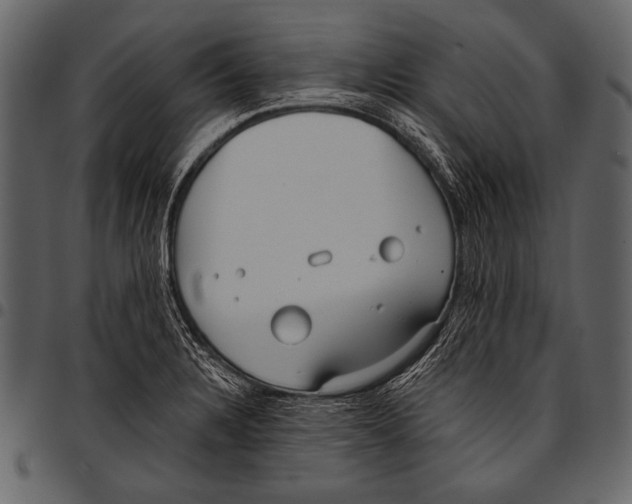 X0000097471328200803201439