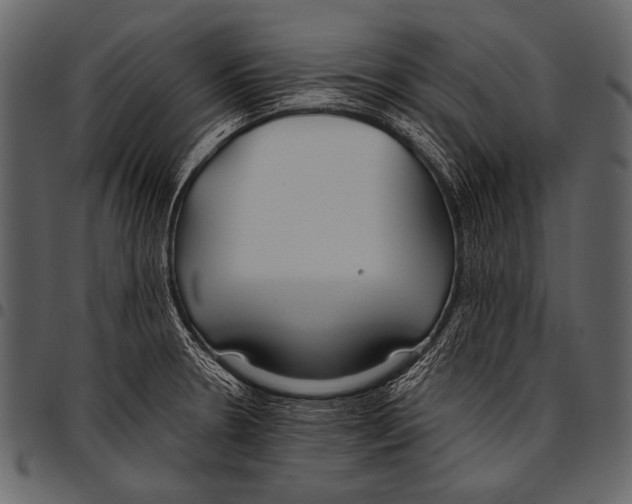 X0000097471330200803201439