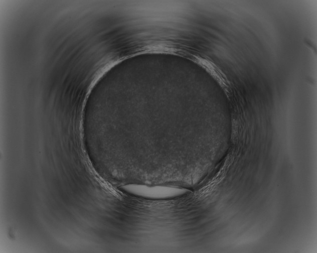 X0000097471331200803201439