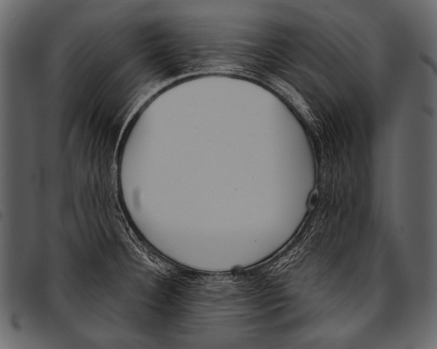 X0000097471332200803201439