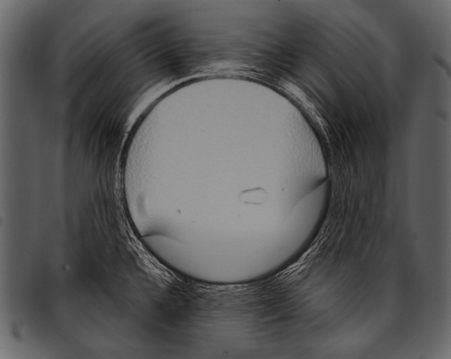 X0000097471336200803201439