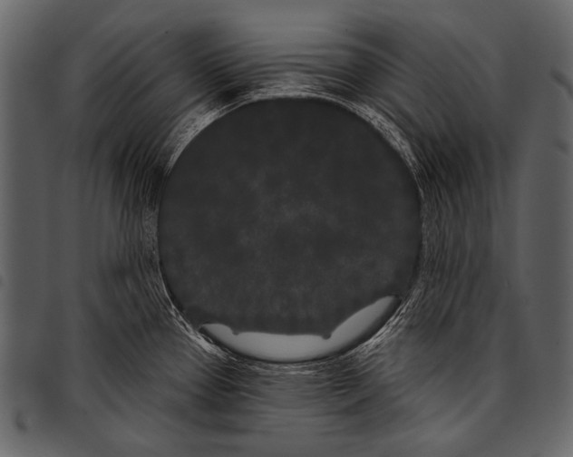 X0000097471337200803201439