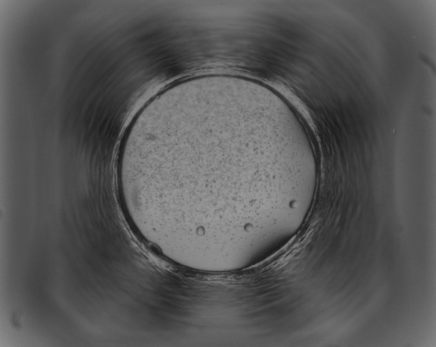 X0000097471341200803201440