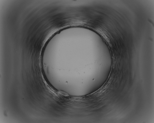 X0000097471342200803201440